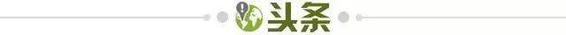 1770939944369092150.jpg 头条.jpg